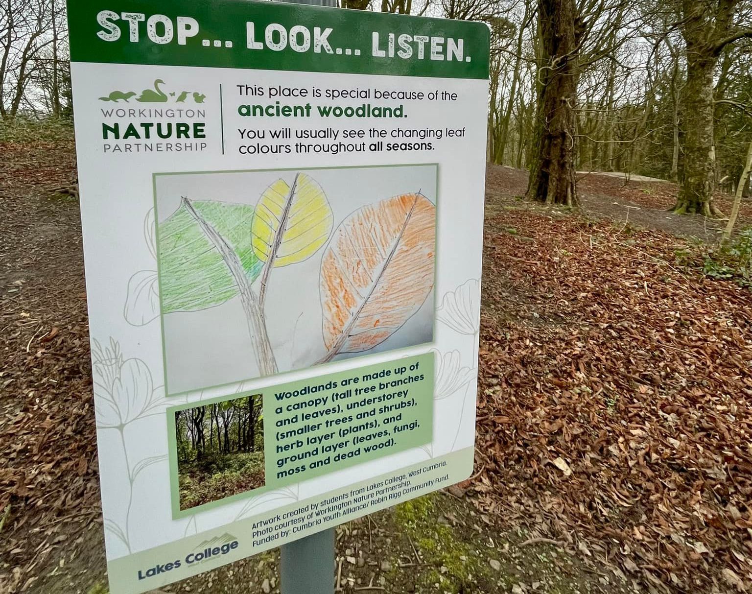 A sign with information in a woodland beauty spot
