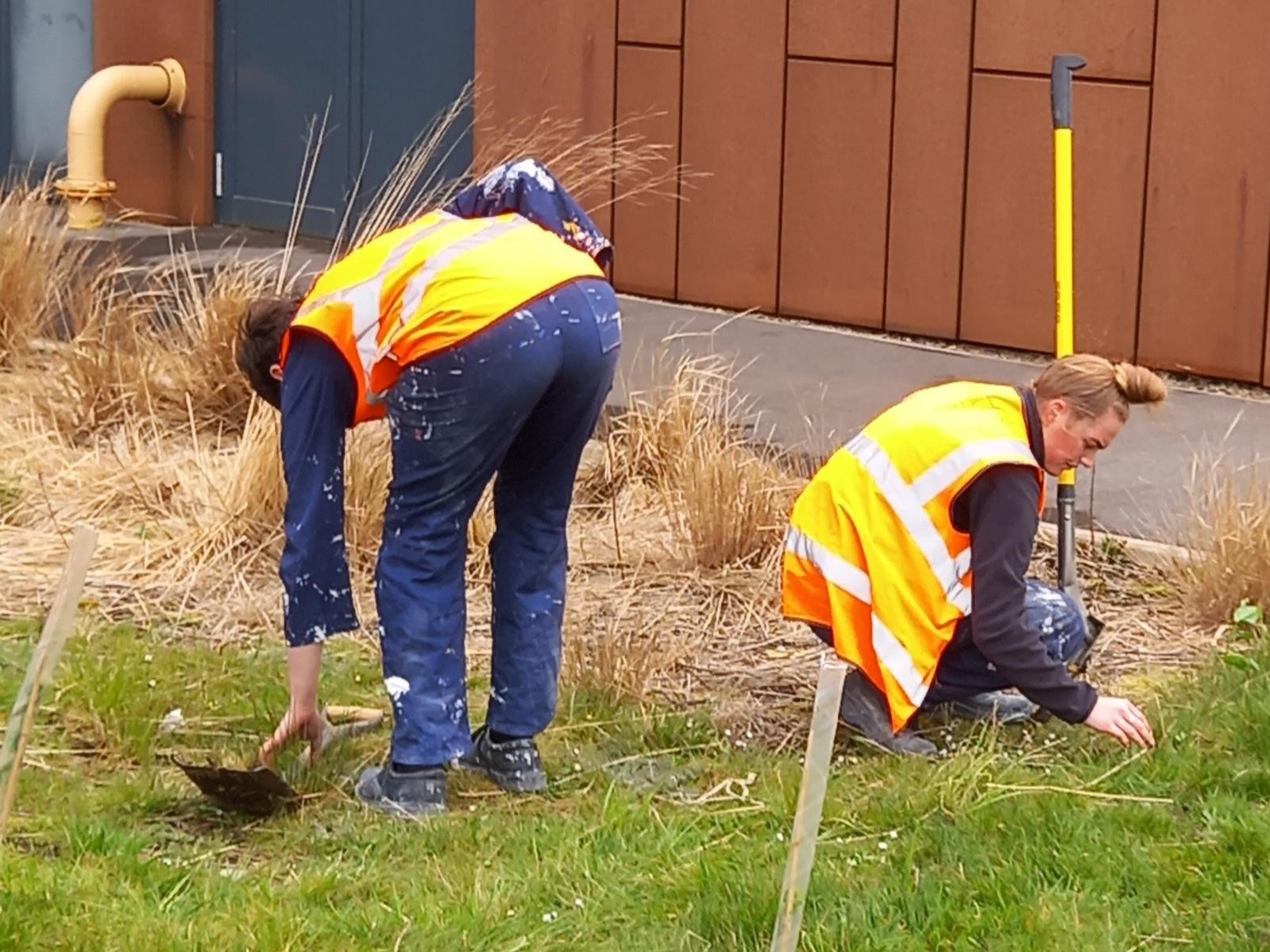 Students plant trees on the Lakes College campus